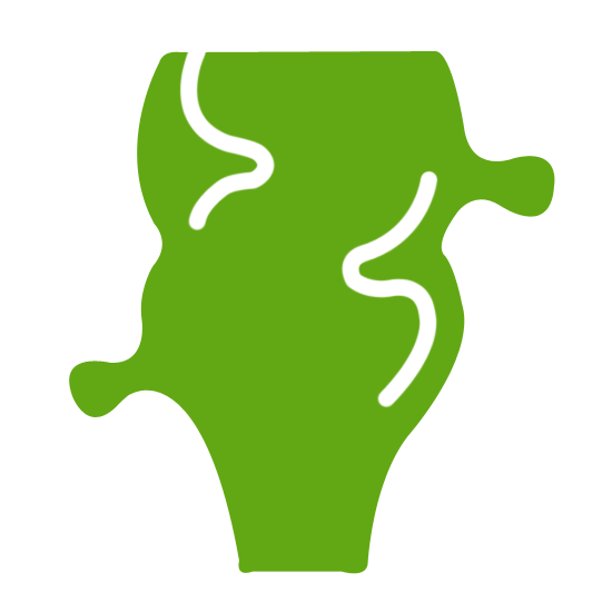 Anal fissure